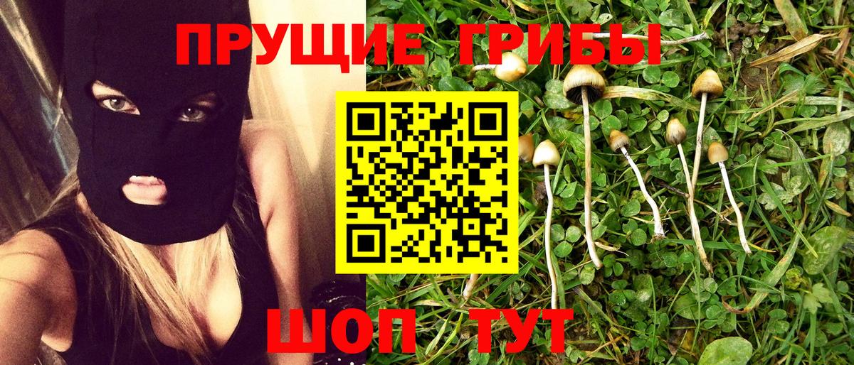 Псилоцибиновые грибы Psilocybine cubensis  Псилоцибиновые грибы Cubensis  Вход с VPN  Кунгур 