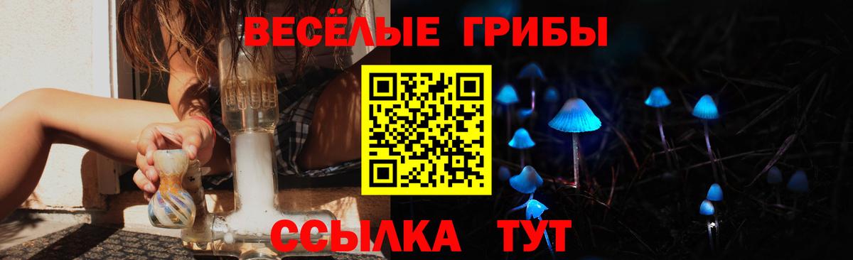 Псилоцибиновые грибы MAGIC MUSHROOMS Кунгур